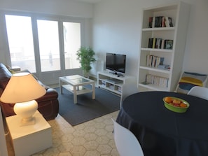 Smart TV, DVD player, books, video library