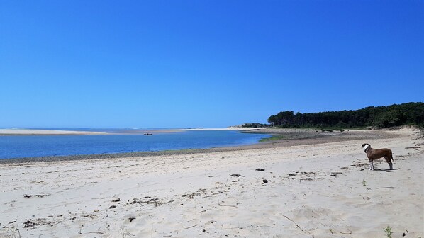 Vlak bij het strand