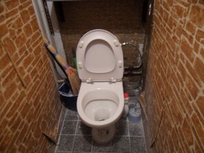 Combined shower/tub, towels, toilet paper