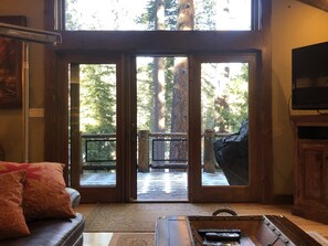 TV, caminetto, lettore DVD, libri