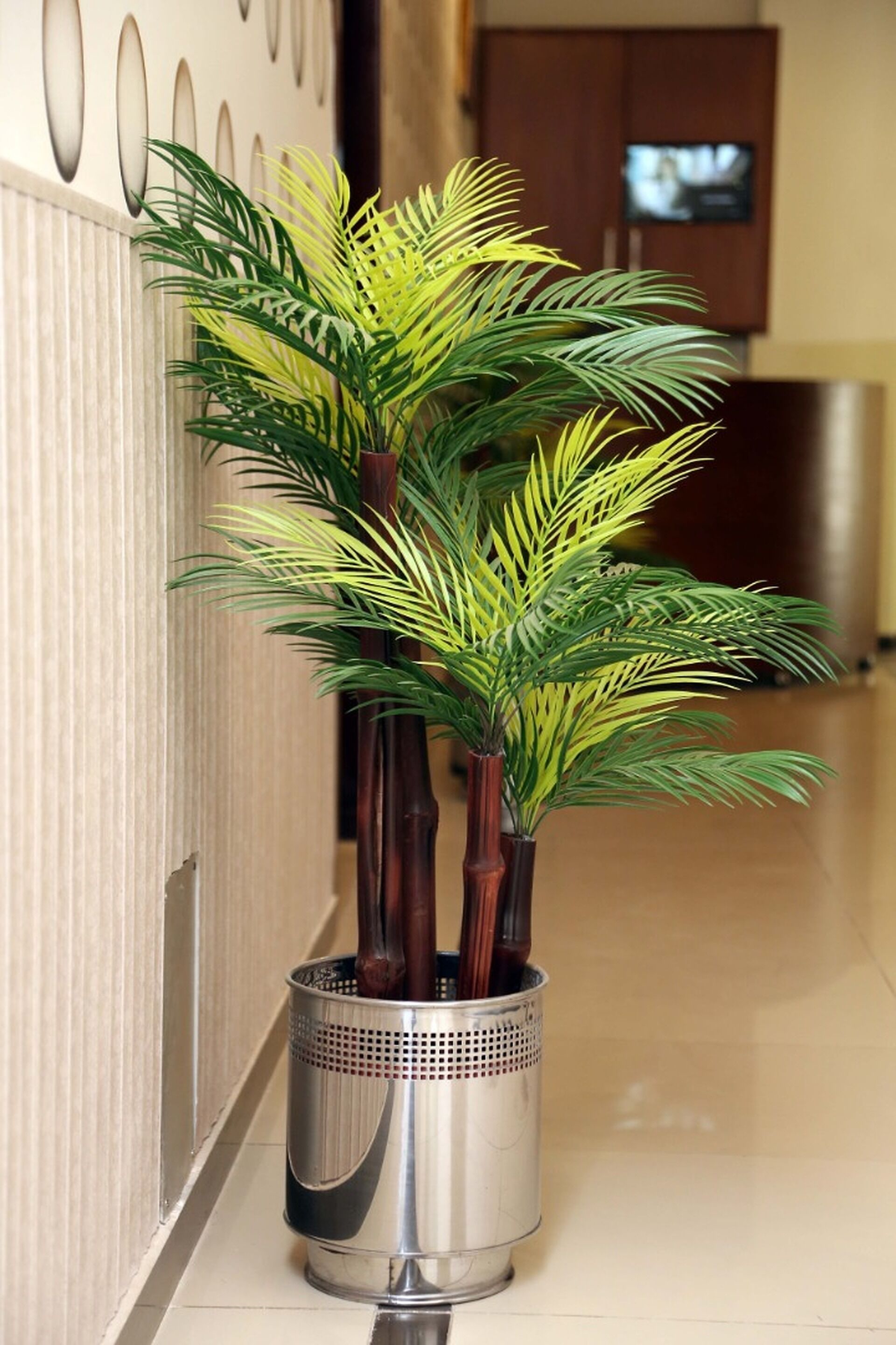 A hallway with a potted plant in a metal basket.