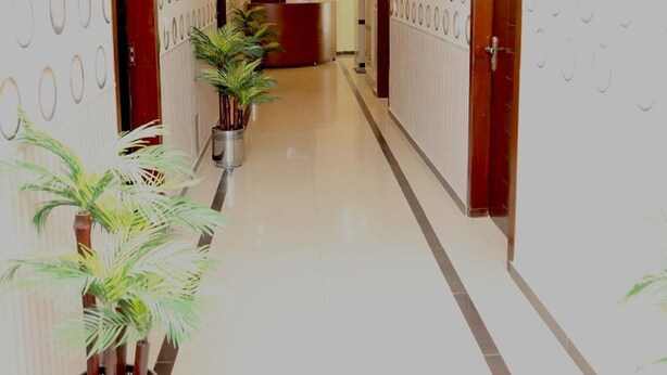 A hallway with patterned walls, potted plants, and a ceiling light fixture. - Hak Mall Suites (Rawalpindi)