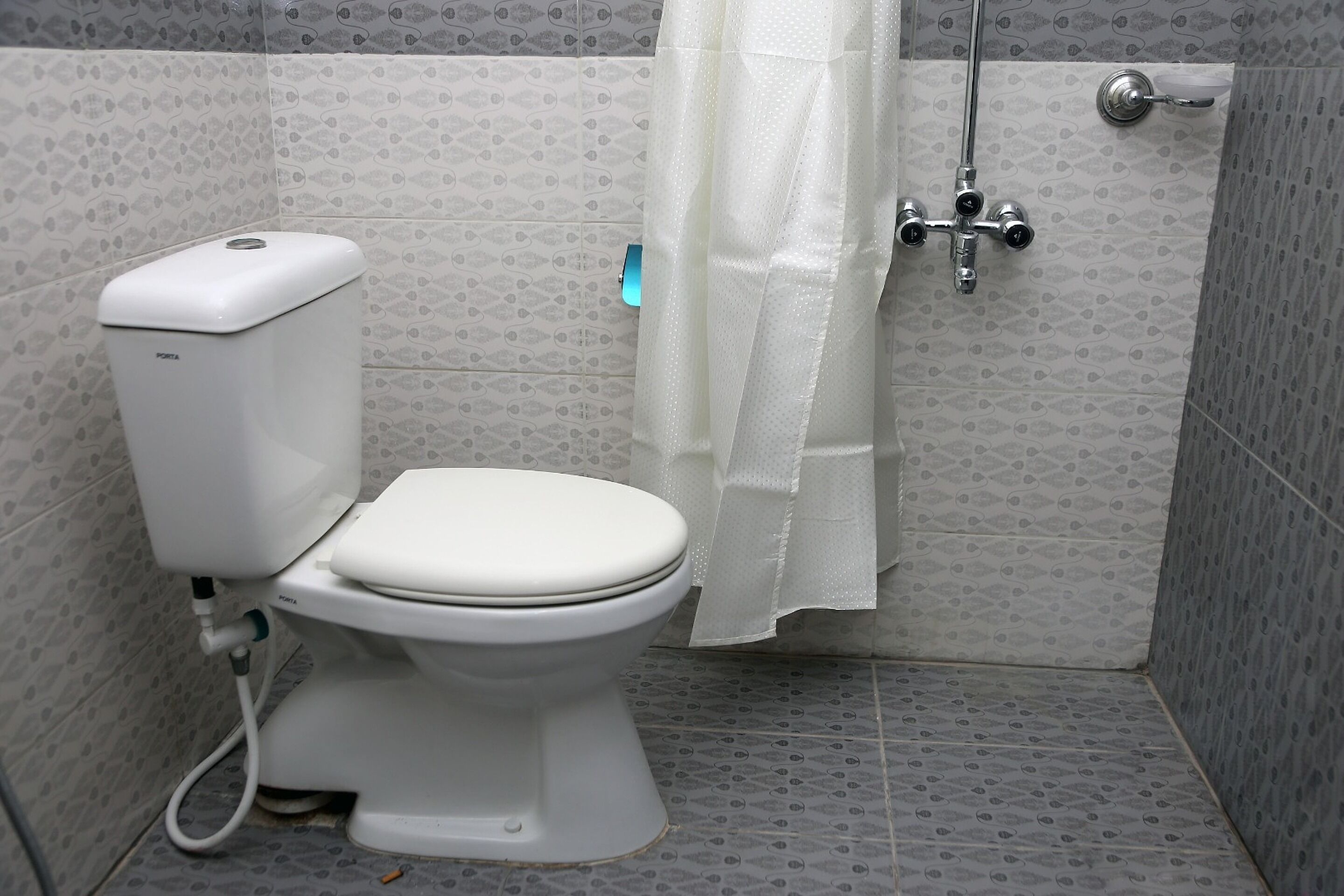 A bathroom with a toilet, a shower, and a curtain.