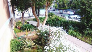 Een tuin met verschillende planten en bloemen, een verhard pad en een parkeerplaats op de achtergrond.