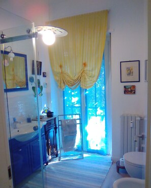 Shower, hair dryer, bidet, towels
