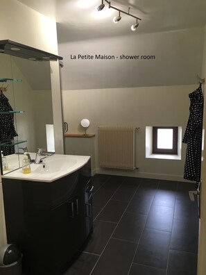 Shower, hair dryer, soap, toilet paper