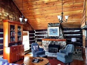 Smart TV, fireplace, DVD player, books