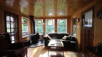 Smart-tv, een open haard, een dvd-speler en boeken