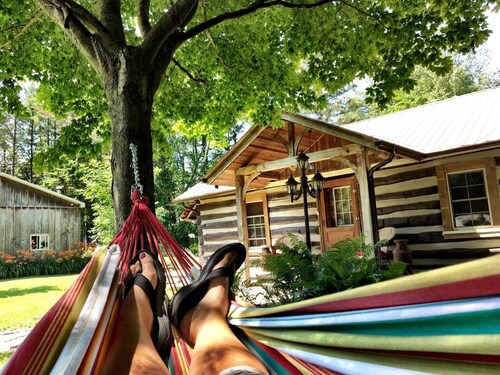Cozy Log Cabin - Walk to Lake Huron!