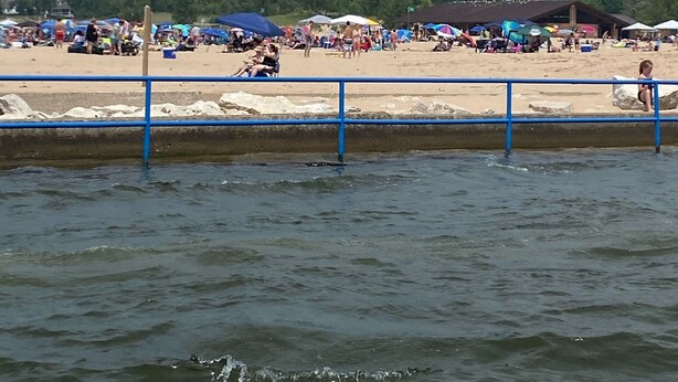 Une plage avec une rambarde bleue et une colline boisée en arrière-plan.