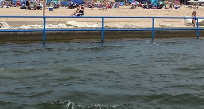 "Welcome Home"- w/ Pool and Near Lake Mi Beaches and Downtown