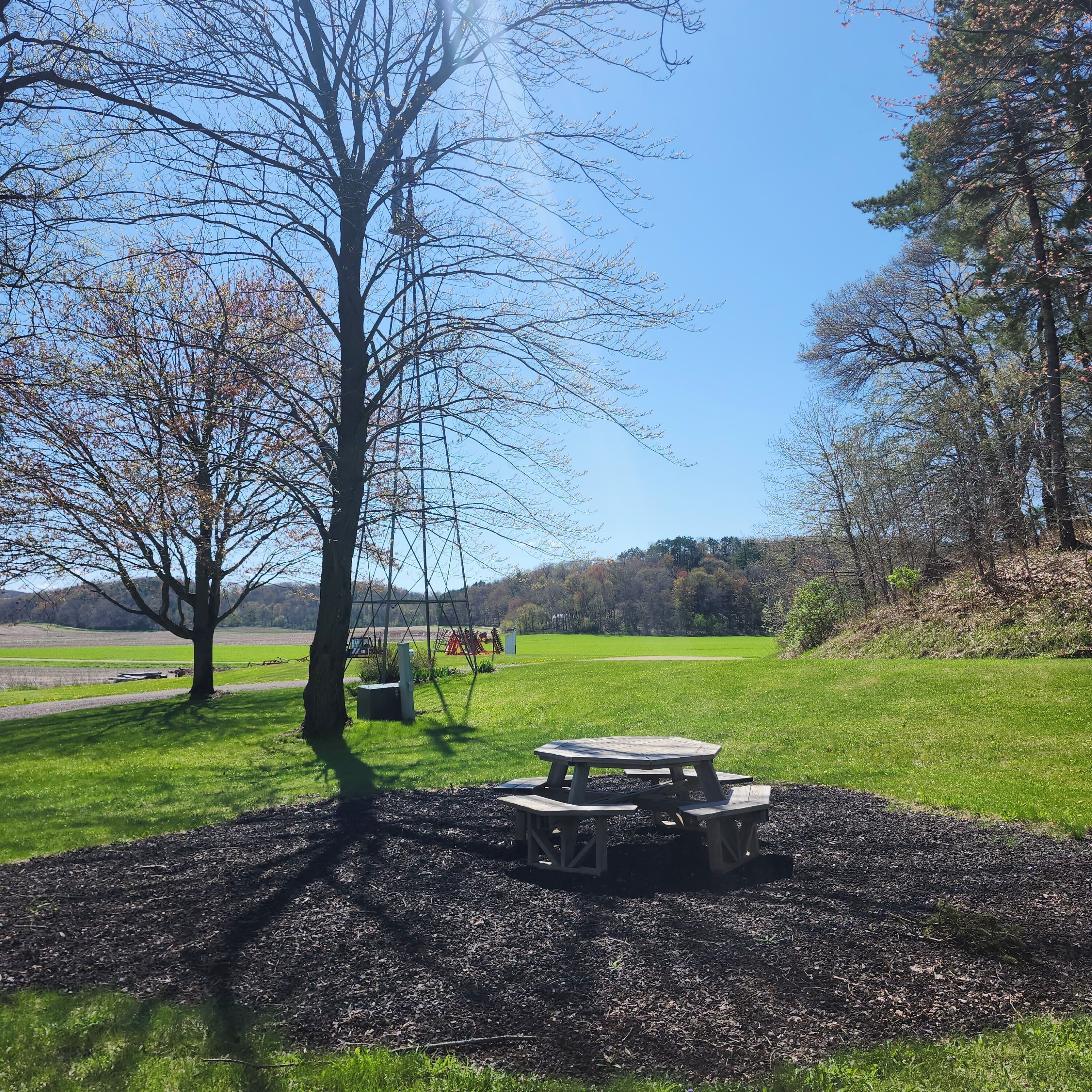 Ein Picknicktisch in einem Park mit Baum und weitläufigen Feldern.