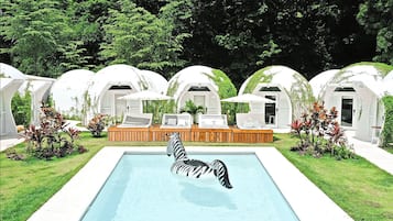 Outdoor pool, pool umbrellas, sun loungers