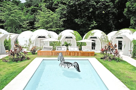 室外游泳池,池畔遮阳伞,日光浴躺椅