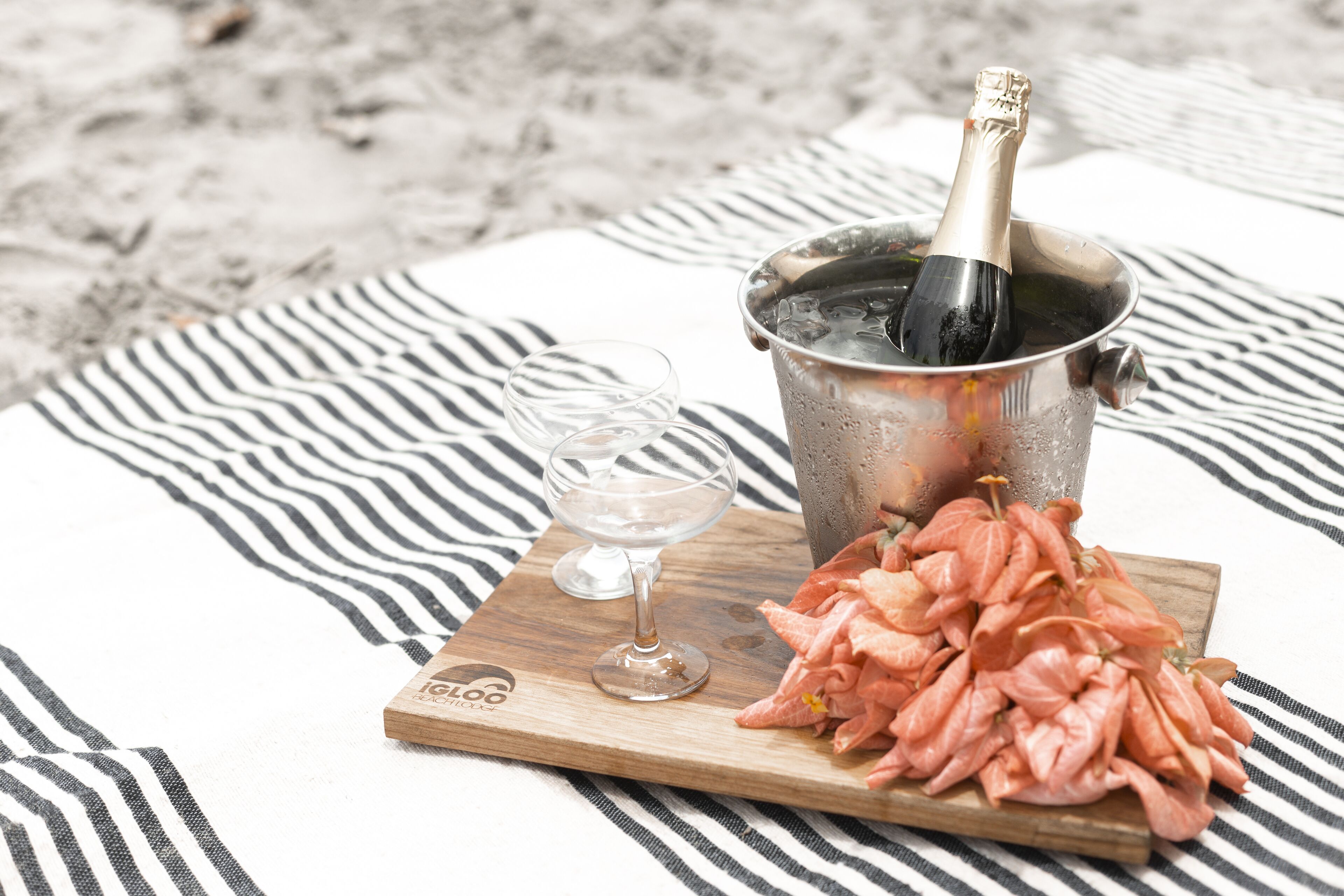 Foto - Igloo Beach Lodge