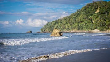 Una playa con olas, un promontorio rocoso y una ladera boscosa.