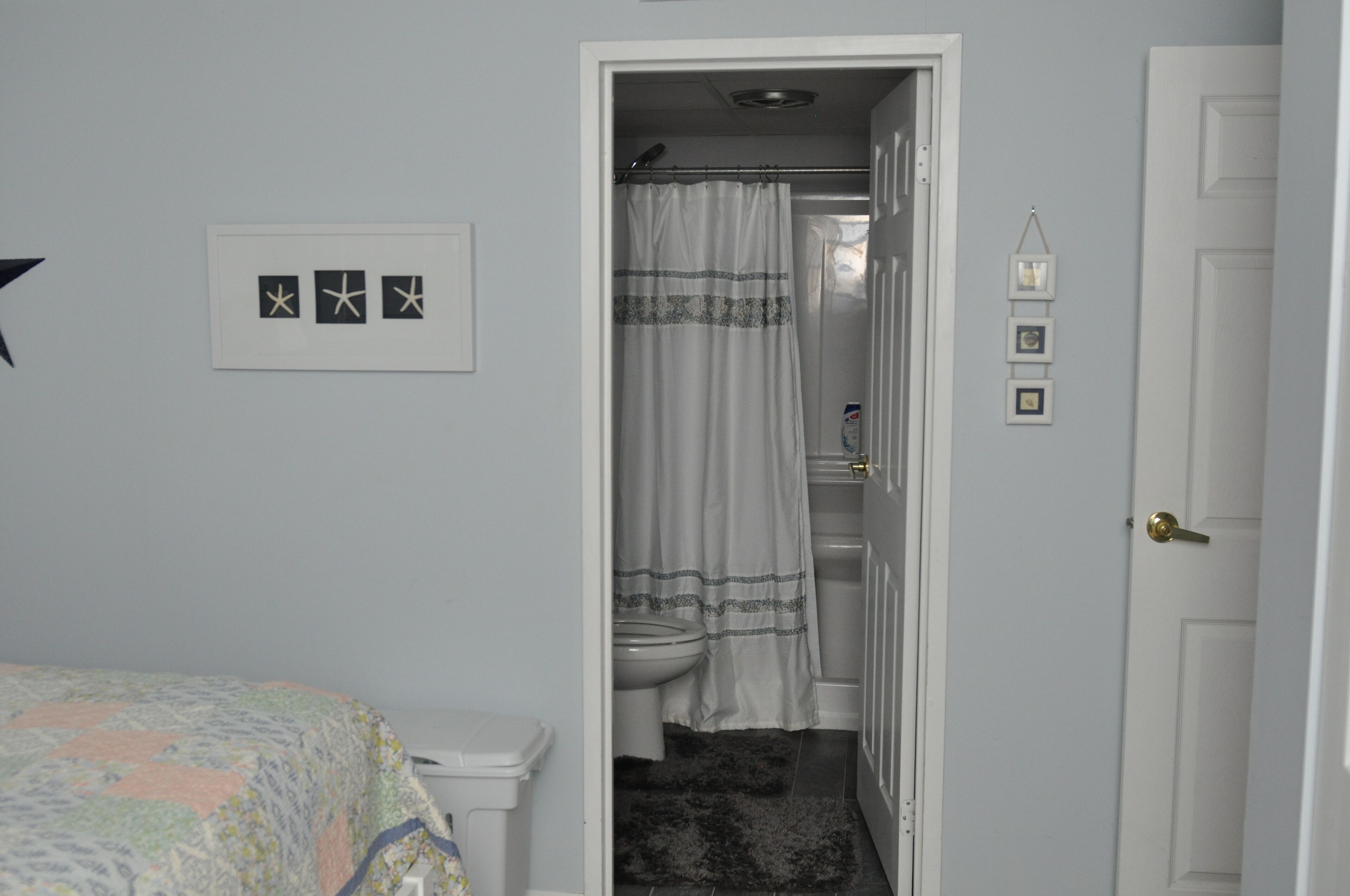 A bathroom with a shower curtain, toilet, and a framed picture on the wall.