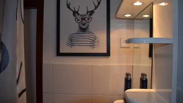 Une salle de bain avec un tableau encadré représentant un cerf portant des lunettes et un t-shirt rayé, des toilettes et un miroir.