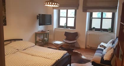 TOP modern apartment - freshly renovated with balcony