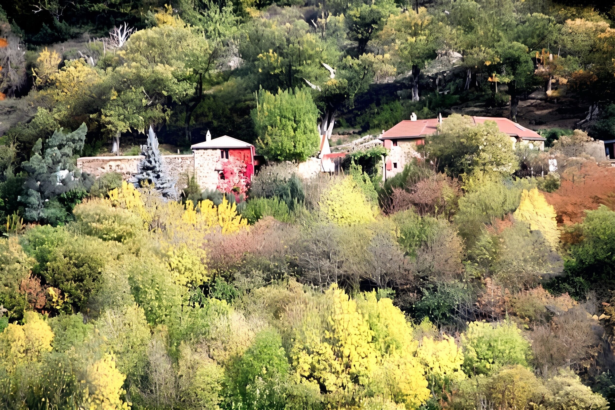 Paisaje rural con edificios dispersos, vegetación densa y diversidad de árboles.