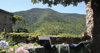 Homerez - House in Dompnac, mountain view
