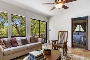 电视、DVD 播放器