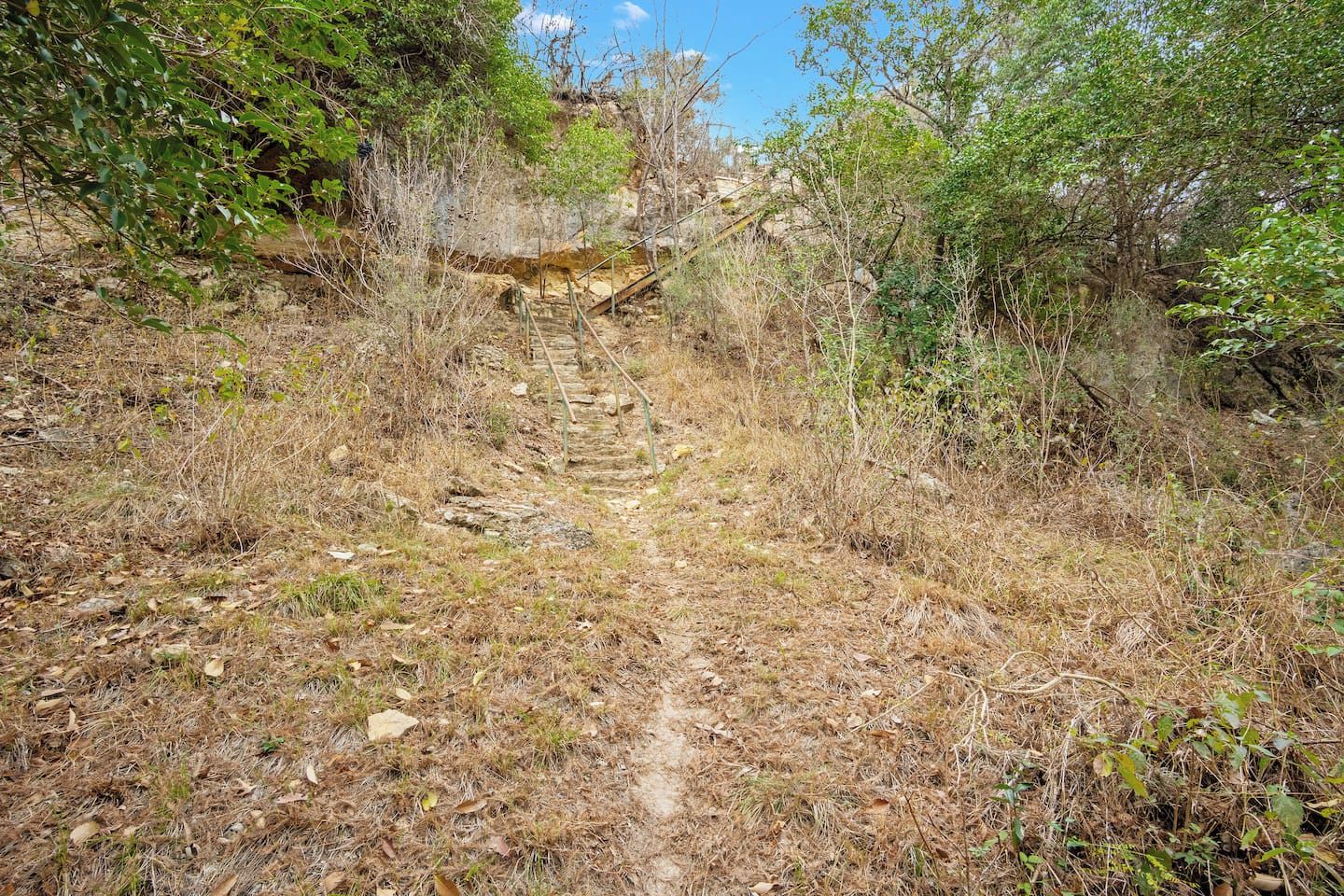 A dry, rocky trail surrounded by dense vegetation and trees.