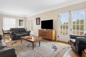 TV, fireplace, DVD player - Hacienda del Rio on the Medina (Bandera)