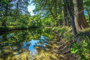 A natural landscape with a calm water body surrounded by dense greenery and trees. - Clear River Cabin | Secluded 2BR w/ River Access (Bandera)