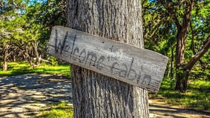 Ein hölzernes Schild an einem Baum in bewaldetem Gebiet.