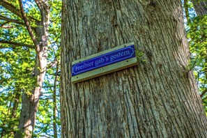 A wooden sign attached to a tree trunk with text on it. - Clear River Cabin | Secluded 2BR w/ River Access (Bandera)
