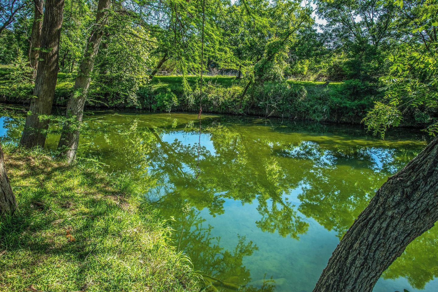 A natural landscape with a body of water surrounded by trees and vegetation.
