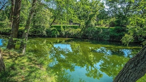 Eine natürliche Landschaft mit einem Gewässer, umgeben von Bäumen und Vegetation.