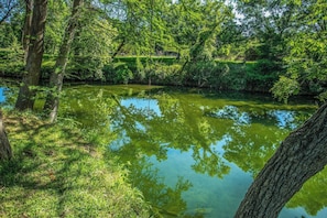 A natural landscape with a body of water surrounded by trees and vegetation. - Clear River Cabin | Secluded 2BR w/ River Access (Bandera)