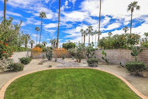Un jardín ajardinado con palmeras, cactus y un césped bien cuidado.