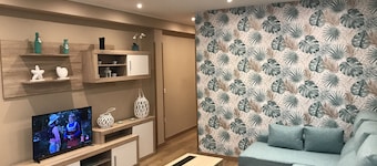Beautiful apartment in the center of Aviles