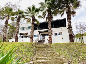 A multi-story building with a stone staircase leading to the entrance, surrounded by palm trees.