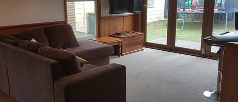 TV, fireplace, DVD player, books