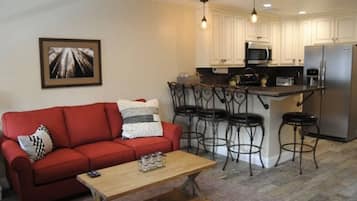 Smart TV, fireplace, DVD player, books