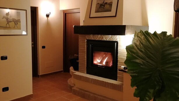 A living room with a fireplace, a framed picture on the wall, and a large plant. - Le Vecchie Scuderie (Fara in Sabina)