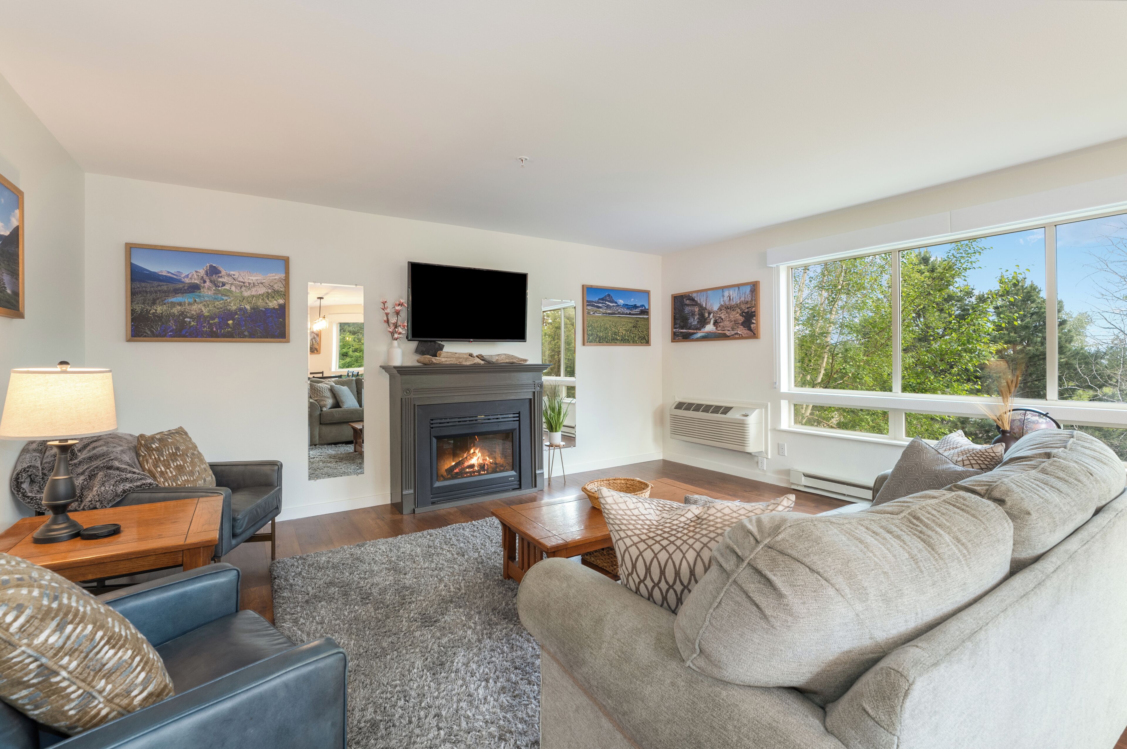 TV, fireplace