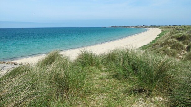 Ein Strand mit sandigem Ufer und grasbewachsenen Dünen.