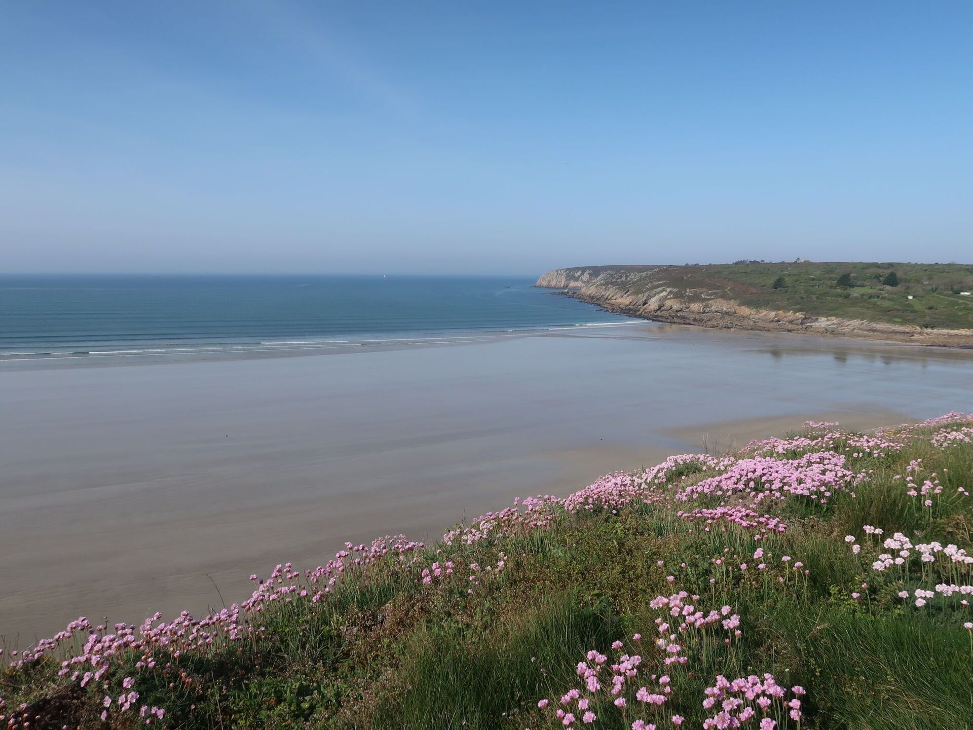 A coastal landscape with a sandy beach, a grassy area with pink flowers, and a cliff in the background.