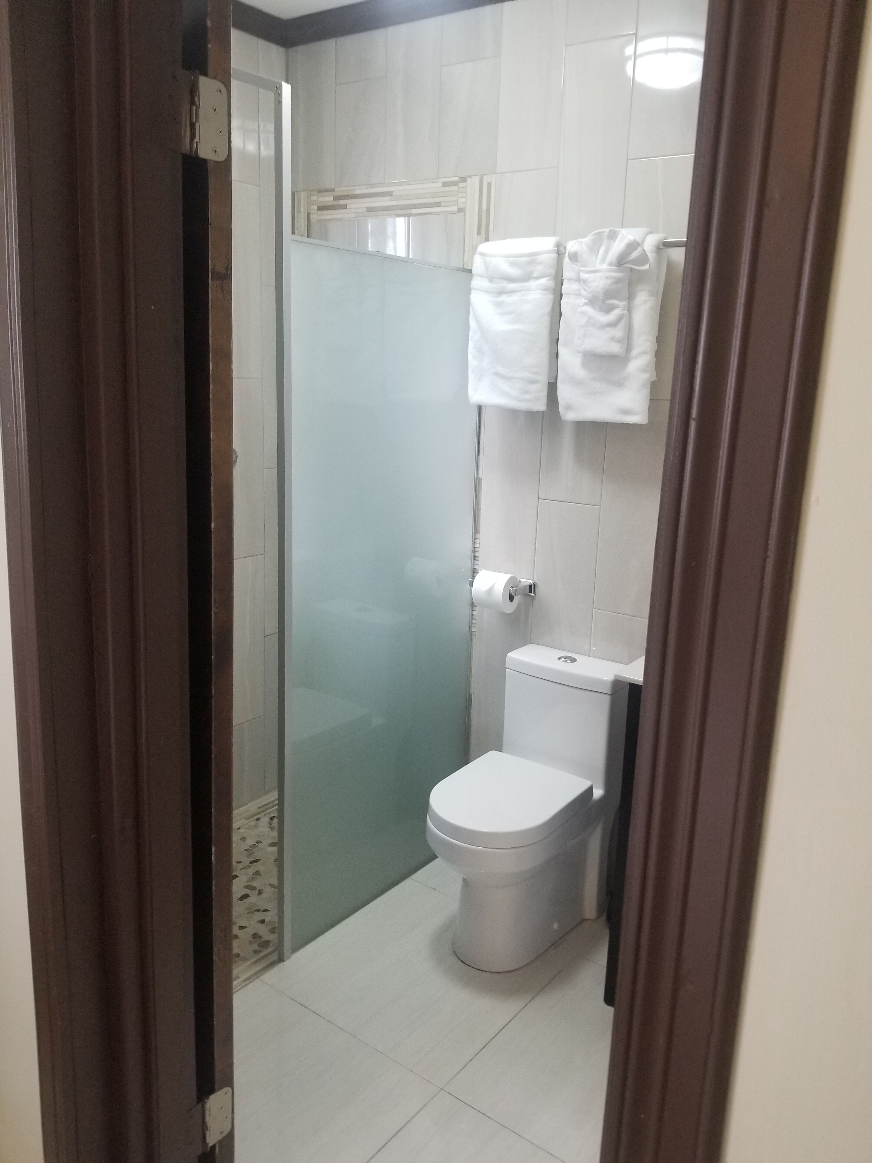 Ein Badezimmer mit Toilette, einer Duschkabine aus Glas und einem Handtuchhalter mit zwei Handtüchern.