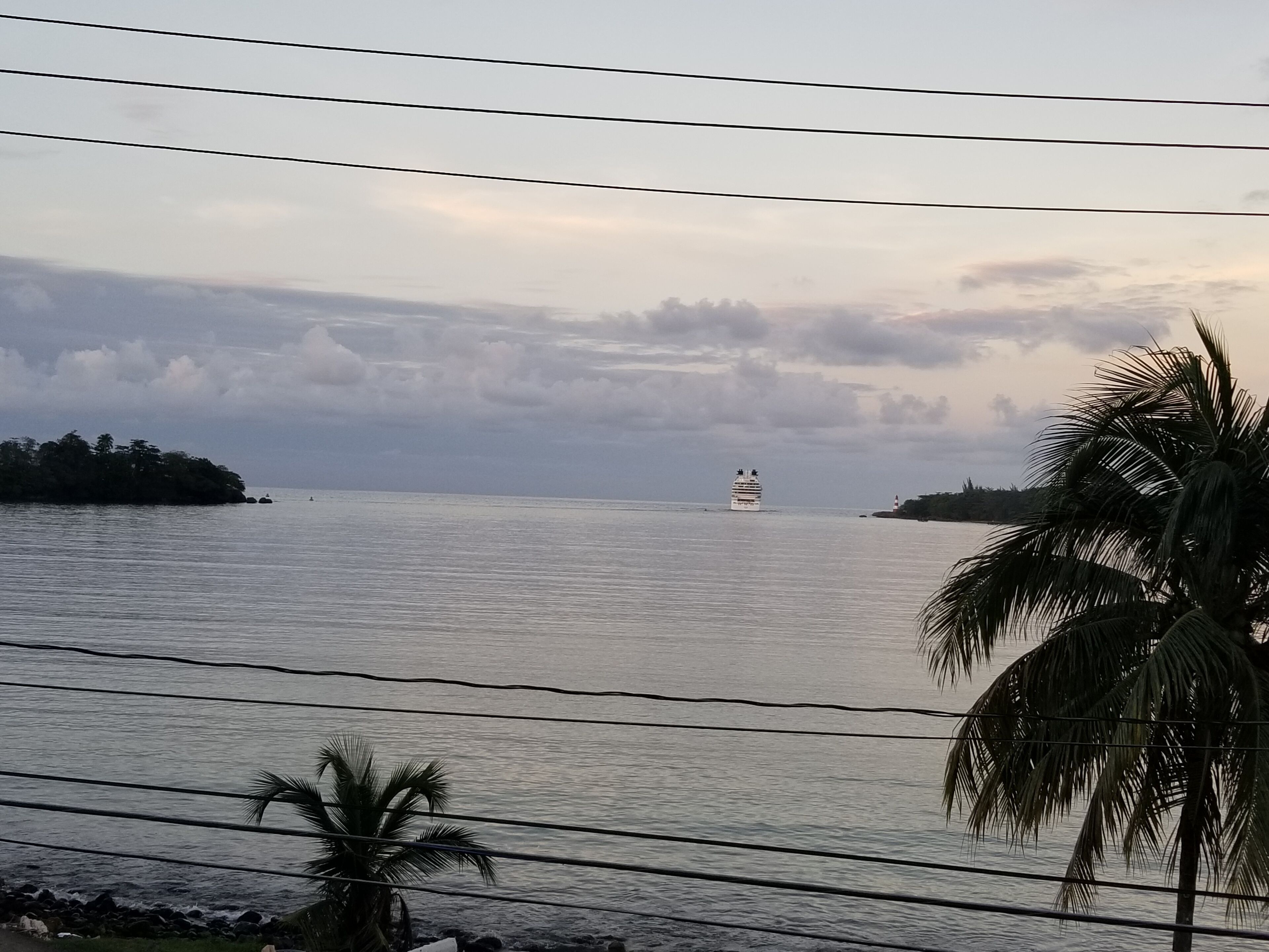 A calm sea with a cruise ship in the distance, a rocky shoreline, and palm trees.
