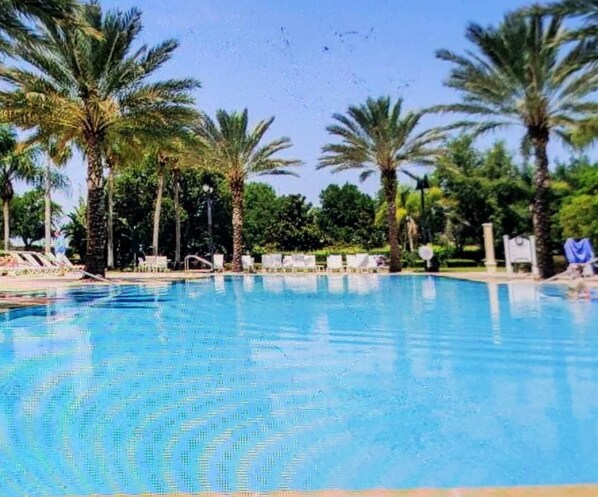 Une piscine avec des chaises longues et des palmiers.