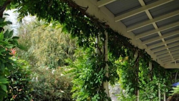 Une terrasse en bois couverte, avec un espace aménagé en jardin, entourée de différentes plantes et arbustes.
