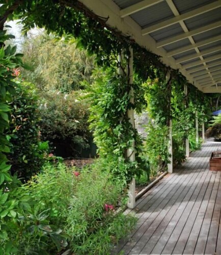 Olive Rabbit - Boutique Bed & Breakfast