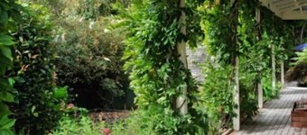 Olive Rabbit - Boutique Bed & Breakfast