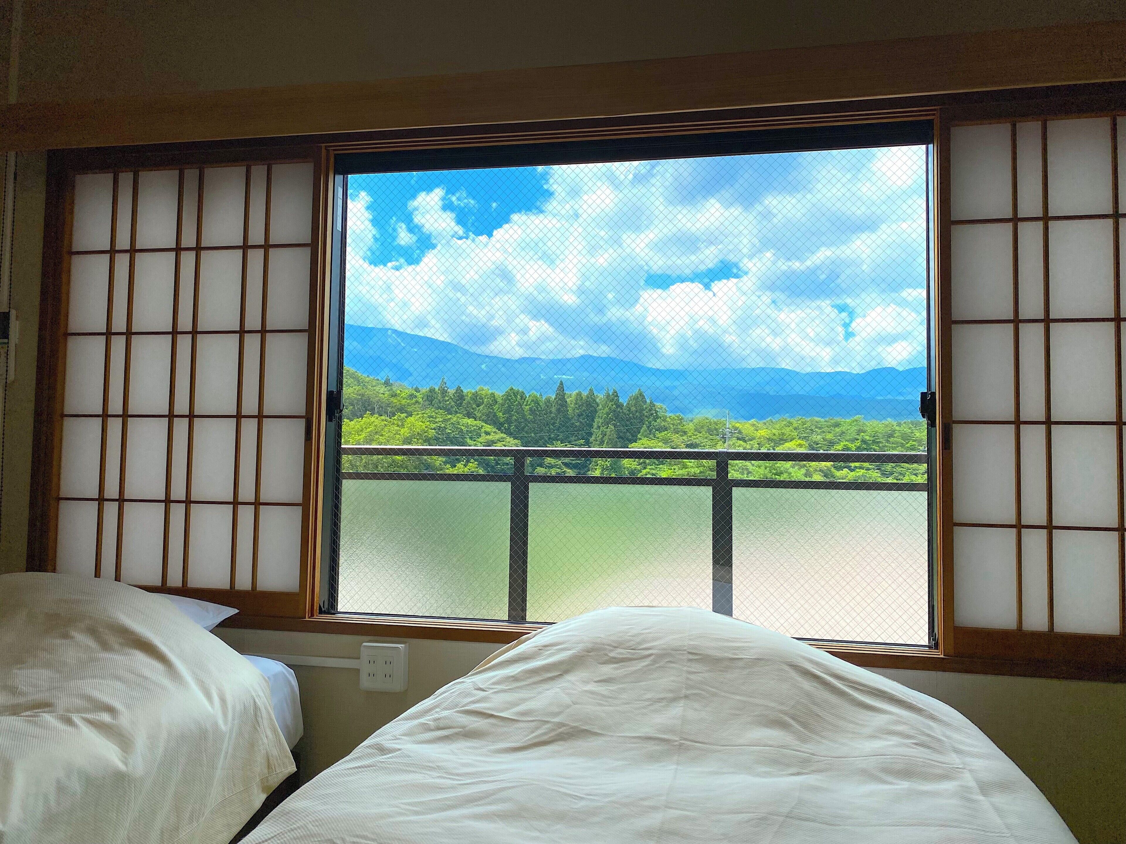 Deluxe Twin Room | Down comforters, WiFi (free)